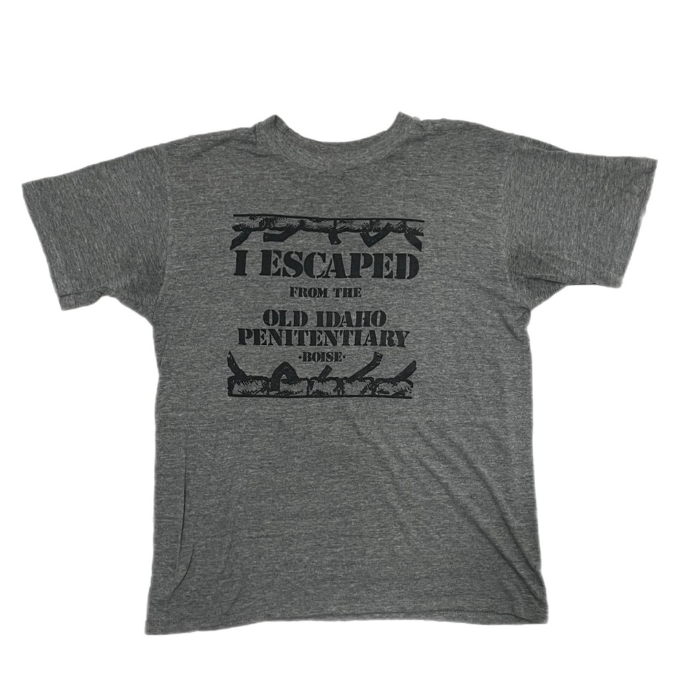 1970’s TRUE VINTAGE ultra thin Idaho joke novelty destination single stitch tee